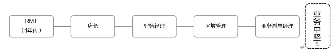<p>RMT<br/>(1年内)</p> <p>店长</p> <p>业务经理</p> <p>区域管理</p> <p>业务副总经理</p> <p>业务中坚主个</p>